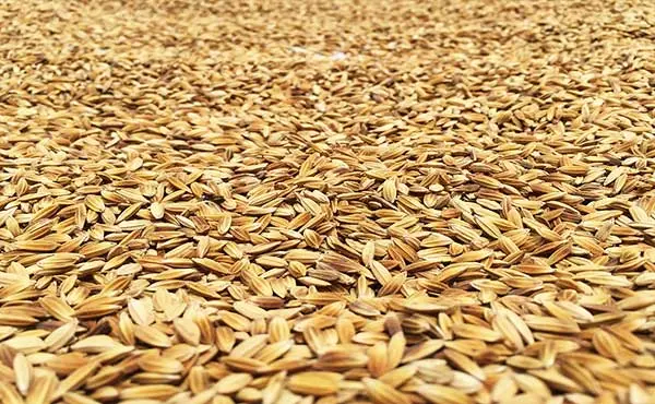 Operation Method Of Rice Husk Pellet Machine